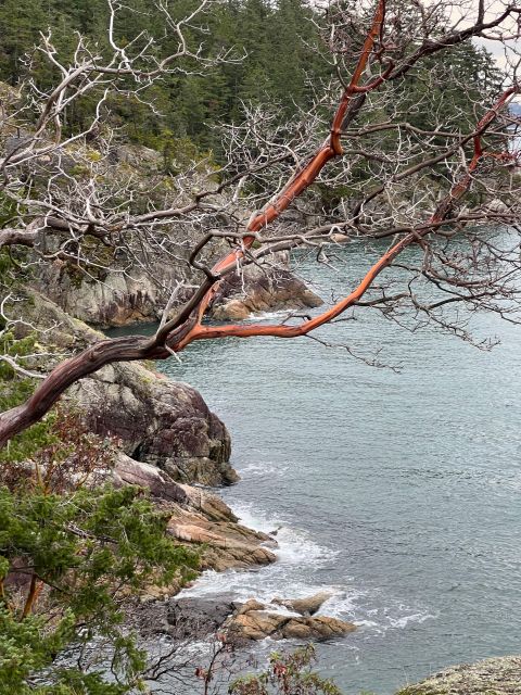 Vancouver: Lighthouse Park Hike - Frequently Asked Questions