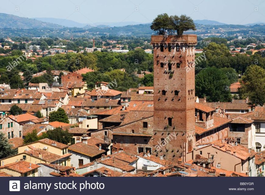 Visit Pisa & Lucca With Lunch in a Family-Run Winery - Highlights of the Tour