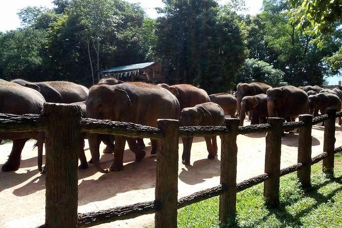 Visit Sri Lanka Tour Air Port Transfer - Customer Reviews