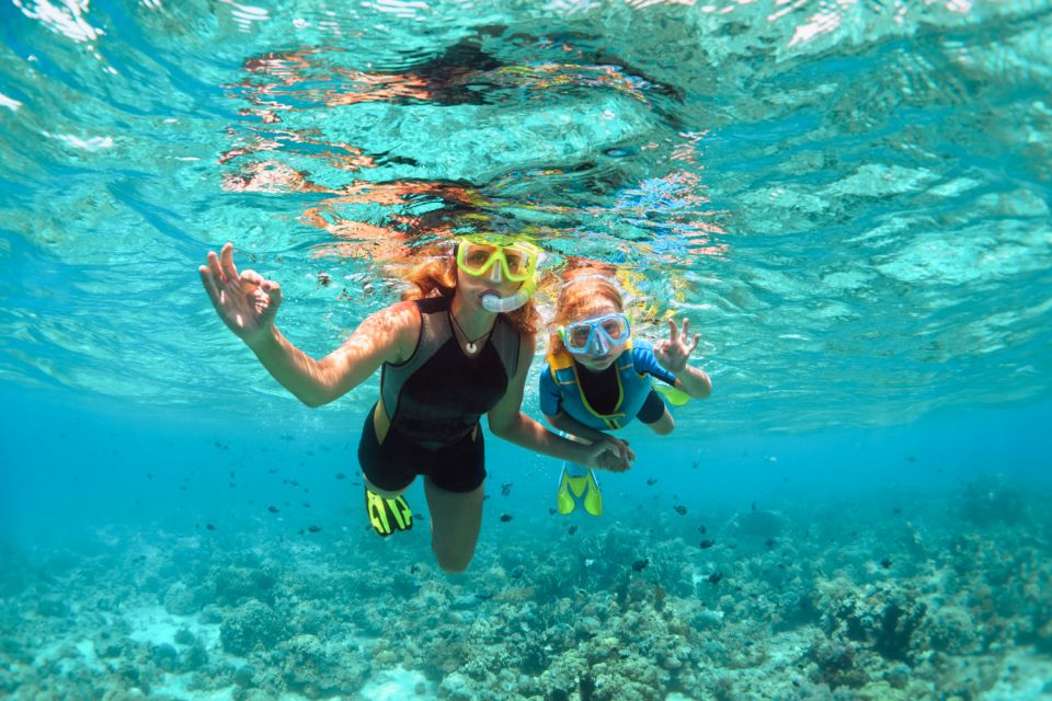 West Oahu: Turtles, Dolphins, and Snorkeling Tour With Lunch - Cancellation Policy and Flexibility