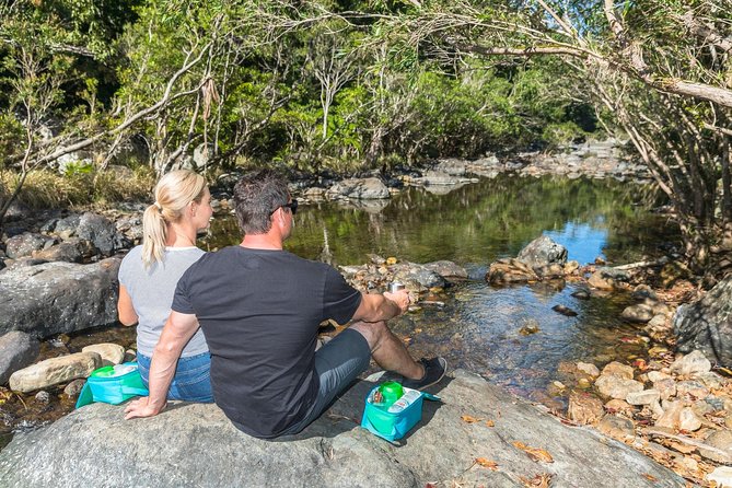 Whitsunday Segway Rainforest Discovery Tour - Why Choose This Tour