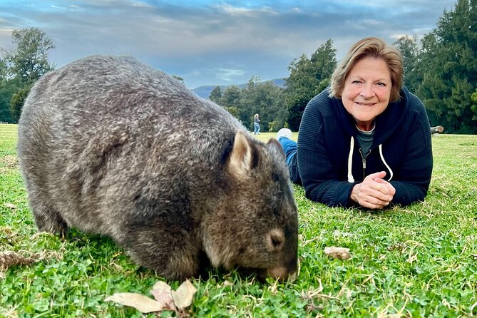 Wild Wombat and Kangaroo Day Tour From Sydney - Booking Information