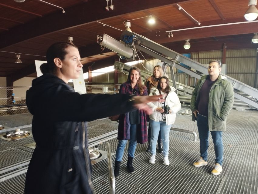 Wine Tour to Nemea & Nafplio From Athens - Booking Information