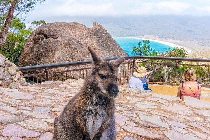 Wineglass Bay & Freycinet NP Full Day Tour From Hobart via Richmond Village - Tips for Your Journey