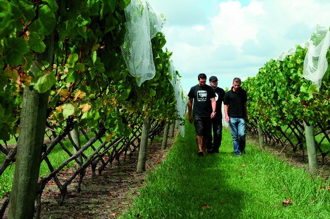 Wineries Honey and Black Sand Beaches From Auckland - Important Considerations