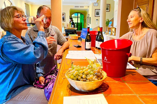 Wines From Châteauneuf-Du-Pape and Surrounding Areas in Half a Day - Accessibility Considerations
