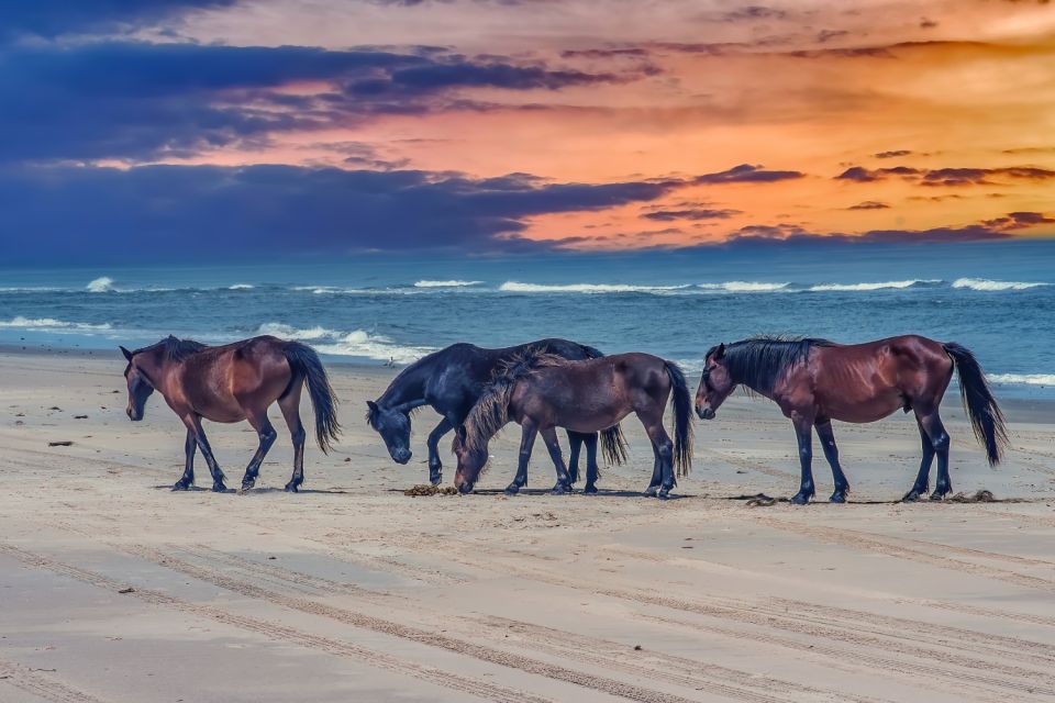 Wright Brothers Carolina Dunes: Self-Guided Driving Tour - Corolla Beach