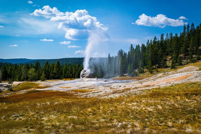 Yellowstone Full Day Private Tour - Seasonal Considerations