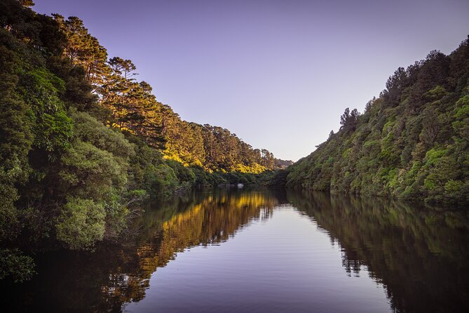 Zealandia - Twilight Guided Eco Wildlife Tour - Additional Tips for Visitors