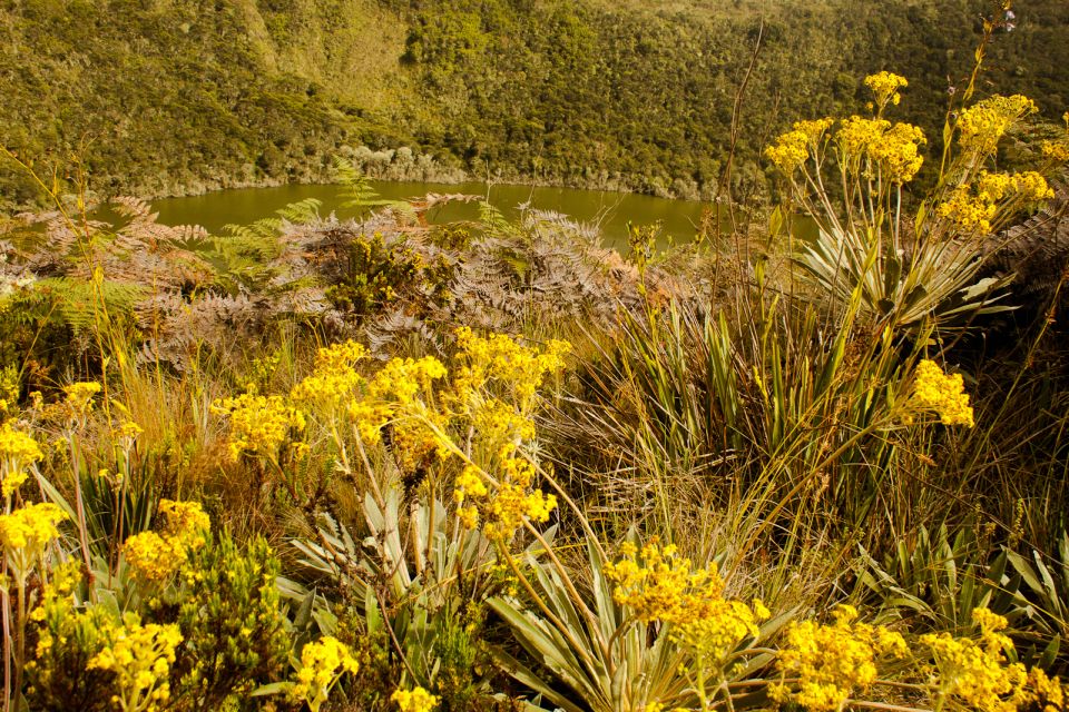 Zipaquira Salt Cathedral and Lake Guatavita - Booking and Tour Options