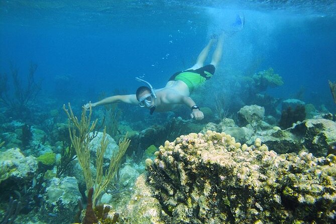 8HR Fullday Private Boat in Gracebay - Experience Overview