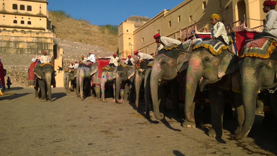 9 Days Golden Triangle India Tour With Jodhpur & Jaisalmer - Tour Overview