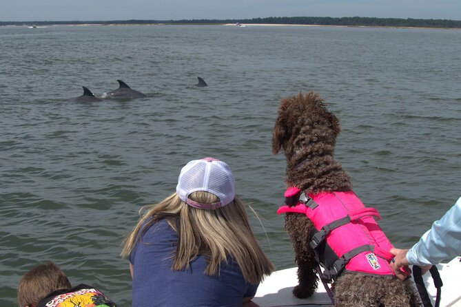 90-Minute Private Dolphin Tour in Hilton Head Island - Wildlife Encounter Highlights