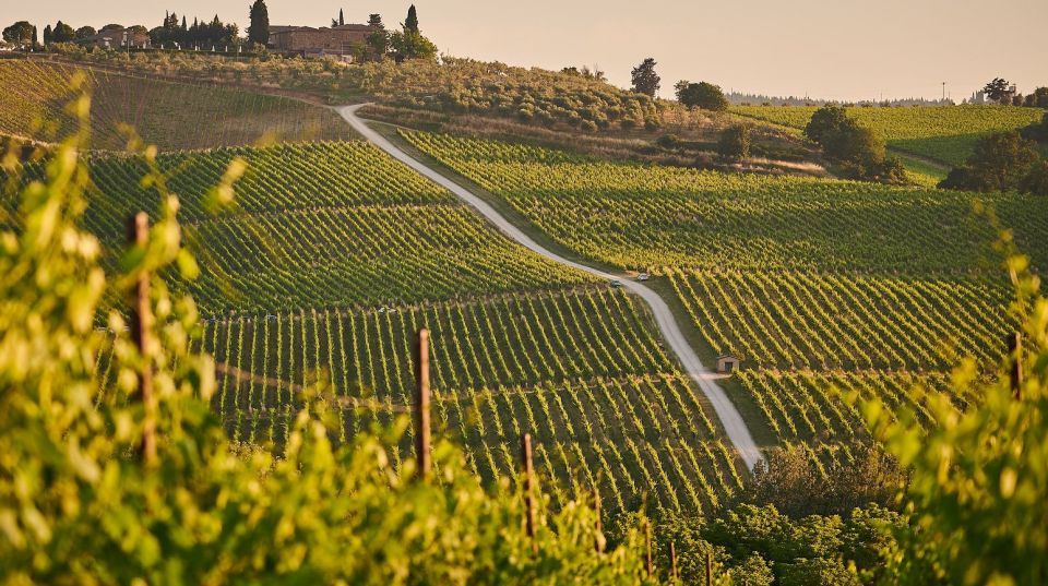 A Sip-By-Sip Tour of 3 Boutique Family Rioja Wineries - Frequently Asked Questions
