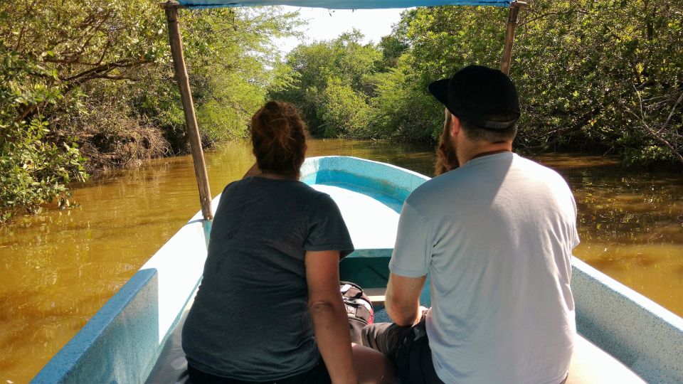 .Acapulco: Baby Turtle Release Tres Palos Lagoon Eco W/Lunch - Key Points