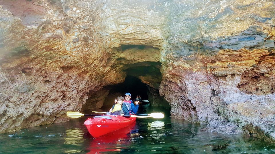 Akaroa: Guided Sea Kayaking Safari at Sunrise - Frequently Asked Questions