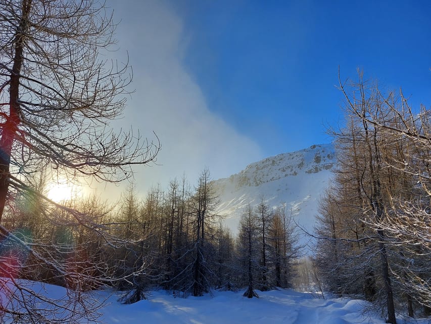 Akureyri: Snowshoeing With the Traveling Viking - Frequently Asked Questions