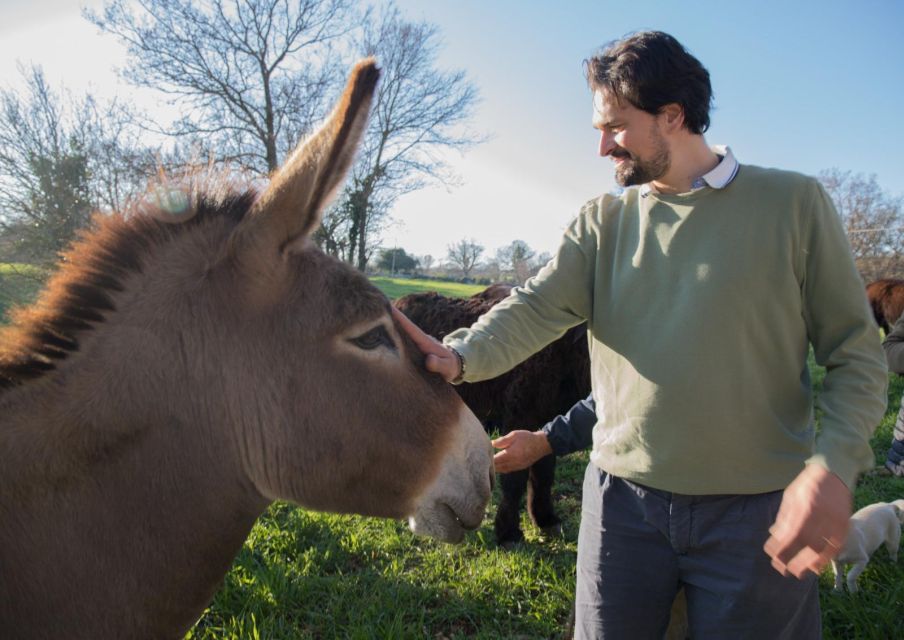 Alberobello E-Bike Tour, Trulli, Aperitivo and Donkey Farm - Recap