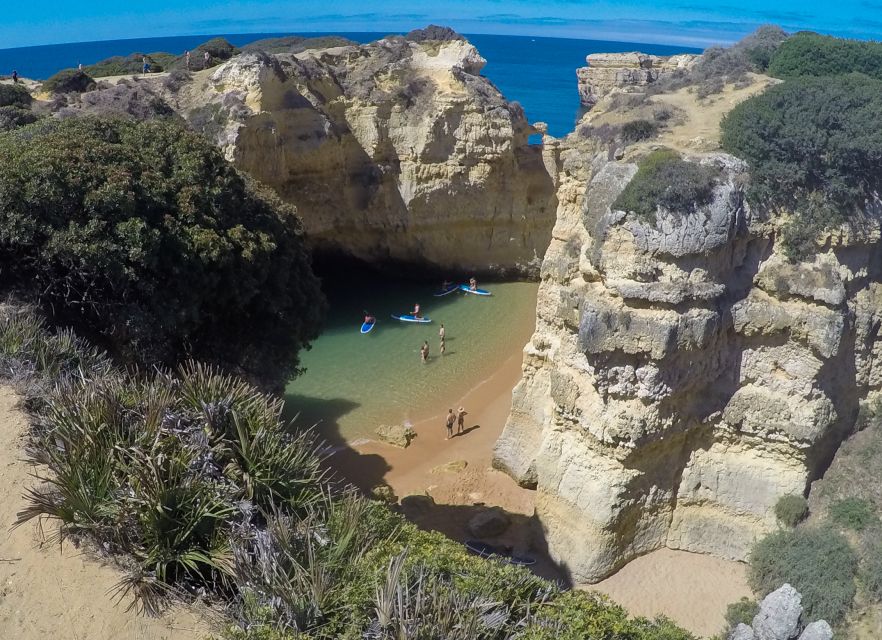 Albufeira: Stand-Up Paddle Boarding at Praia Da Coelha - Frequently Asked Questions