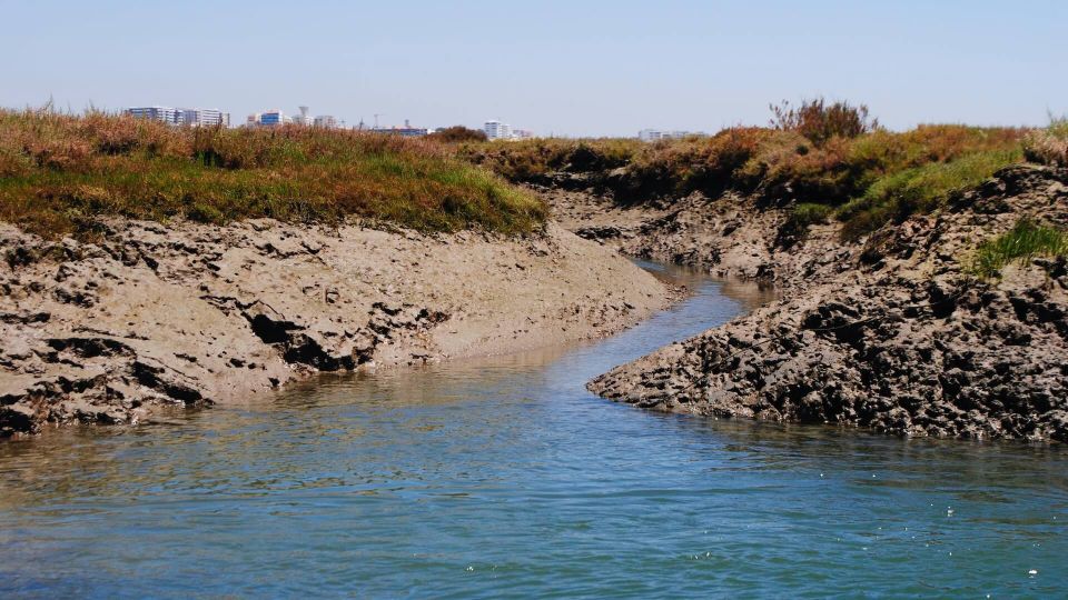 Algarve: Eco Boat Tour in the Ria Formosa Lagoon From Faro - Frequently Asked Questions