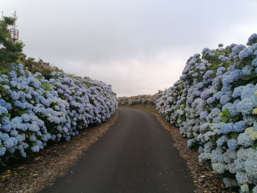 Angra Do Heroísmo: Terceira Island Half-Day Tour - Frequently Asked Questions