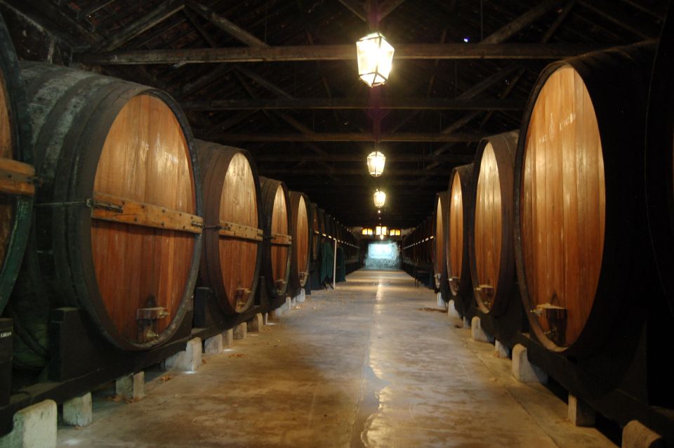 Arrábida: Private Wine Tour With Wine & Cheese Tasting - Frequently Asked Questions