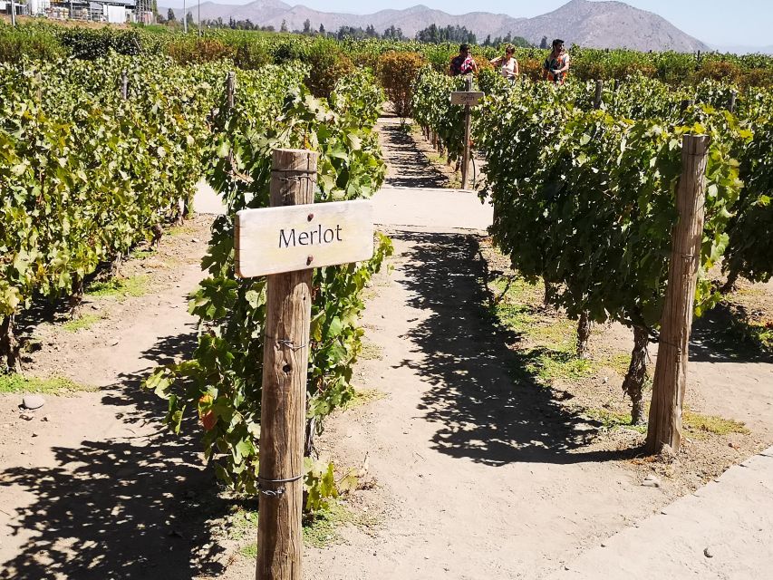 Bahá'í Temple, Winery and Lapis Lazuli + Private Transport - Frequently Asked Questions
