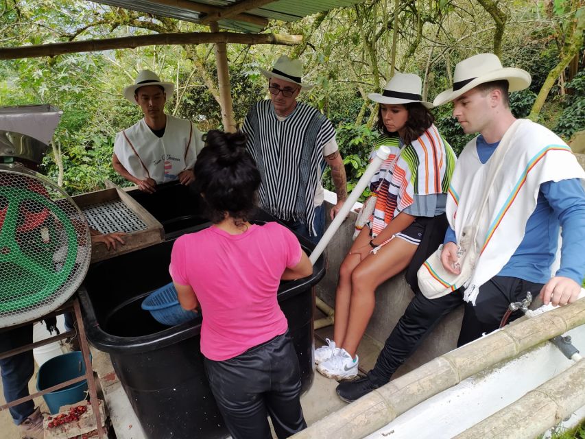 Bogotá: Guided 5-Hour Coffee Farm Tour - Hands-On Activities