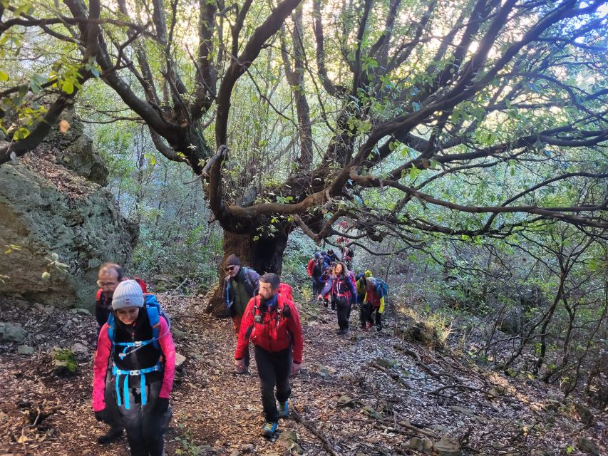 Bruncu Casteddu: Hiking Guided Tour Near Ulassai Village - Recap