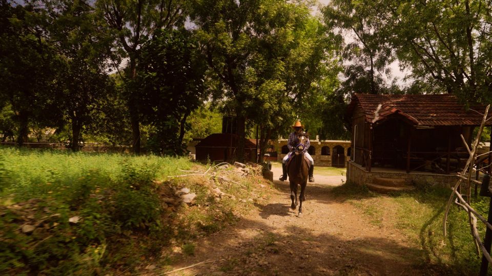 Bujra: Farm to Table at a Zen Eco-Farm Amidst The Aravallis - Frequently Asked Questions