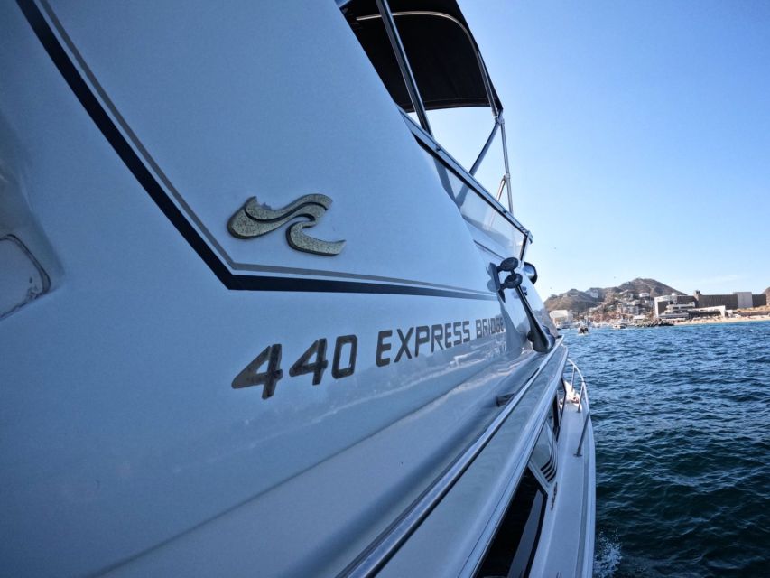 Cabo San Lucas: Private Boat Tour With Paddle Boarding - Open Bar With Drinks