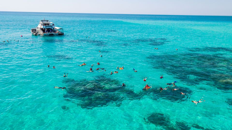 Cairns: Outer and Coral Cay Snorkel and Dive Cruise - Recap