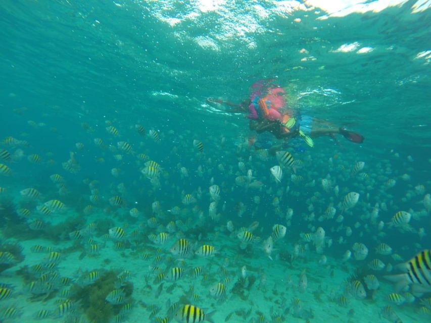 Cancun: 3-Hour Snorkel at Sunken Ship & Coral Reef - Frequently Asked Questions