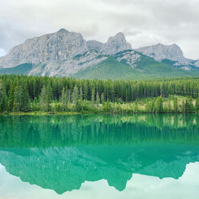 Canmore: 4-Hour Banff Park Safari Drive & Nature Walk - Frequently Asked Questions