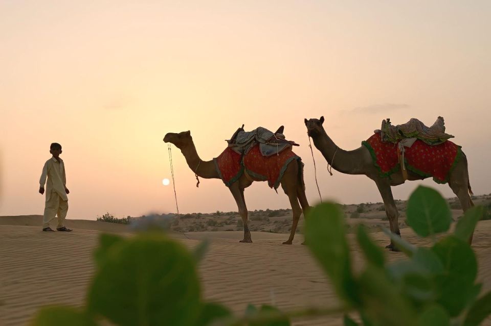 Charisma Camel Safari 2 Night 3 Day Non Touristic Area - Frequently Asked Questions