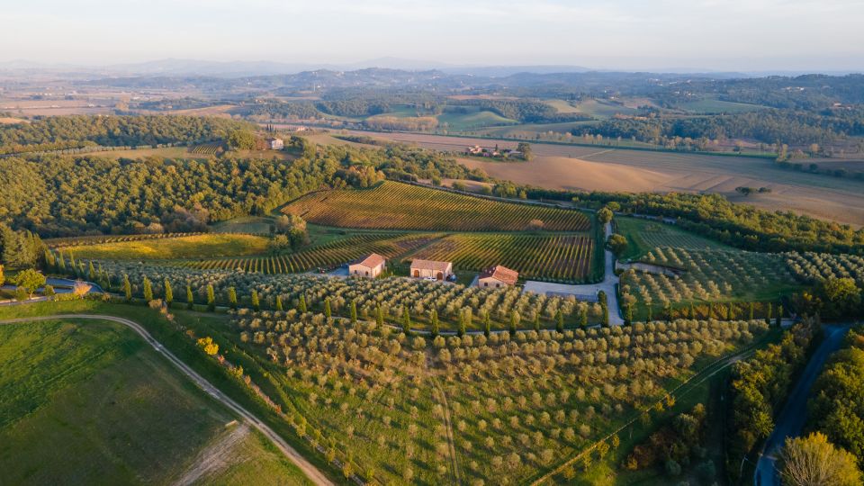 Chianciano Terme: Boutique Winery Tour With Tastings - Frequently Asked Questions