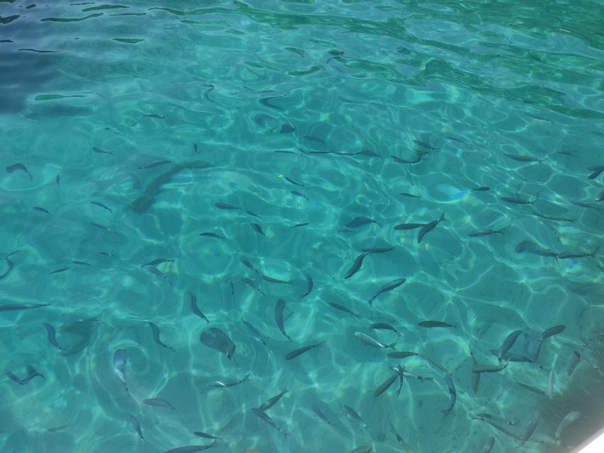 Corfu: Private Boat Tour - Frequently Asked Questions