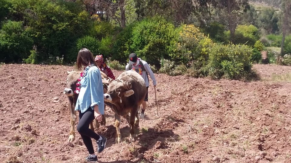 Cusco: A Cultural Day at a Cusco Community - Recap