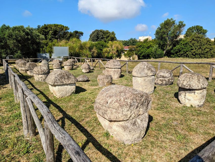 Day Trip Rome: Tarquinia and Cerveteri, Etruscan Tour - Frequently Asked Questions