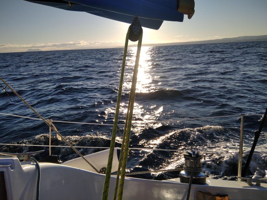 Estepona Sailing Experience: Boat Tour With Drinks & Picnic - Frequently Asked Questions