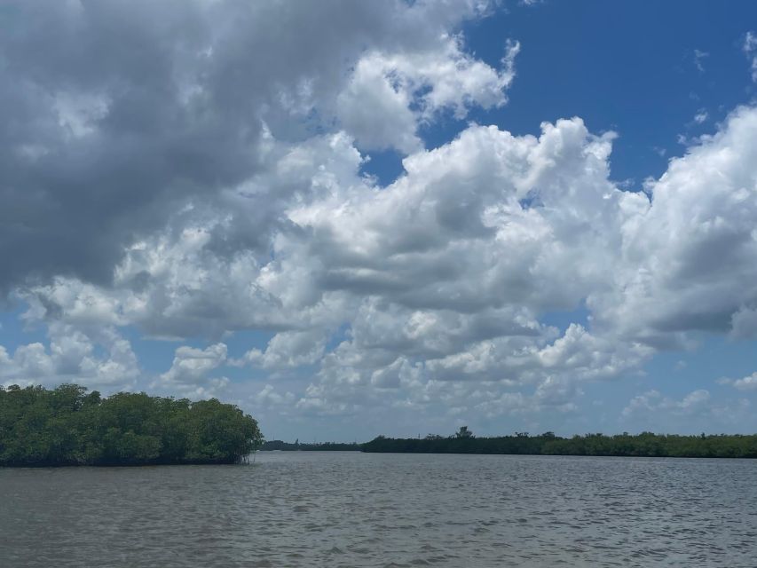 Fort Pierce: 6-hr Mangroves, Coastal Rivers & Wildlife in FL - Recap