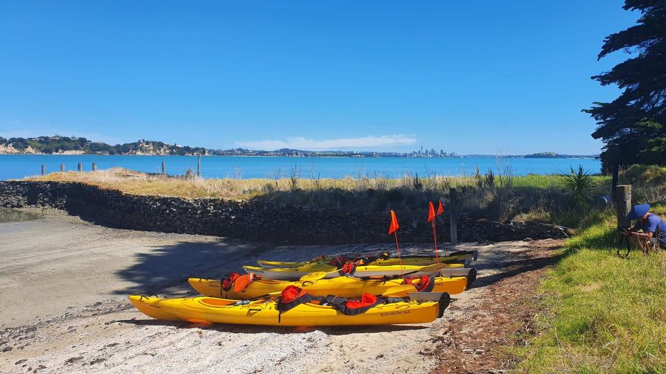 From Auckland: Browns Island Motukorea Sea Kayak Tour - Frequently Asked Questions