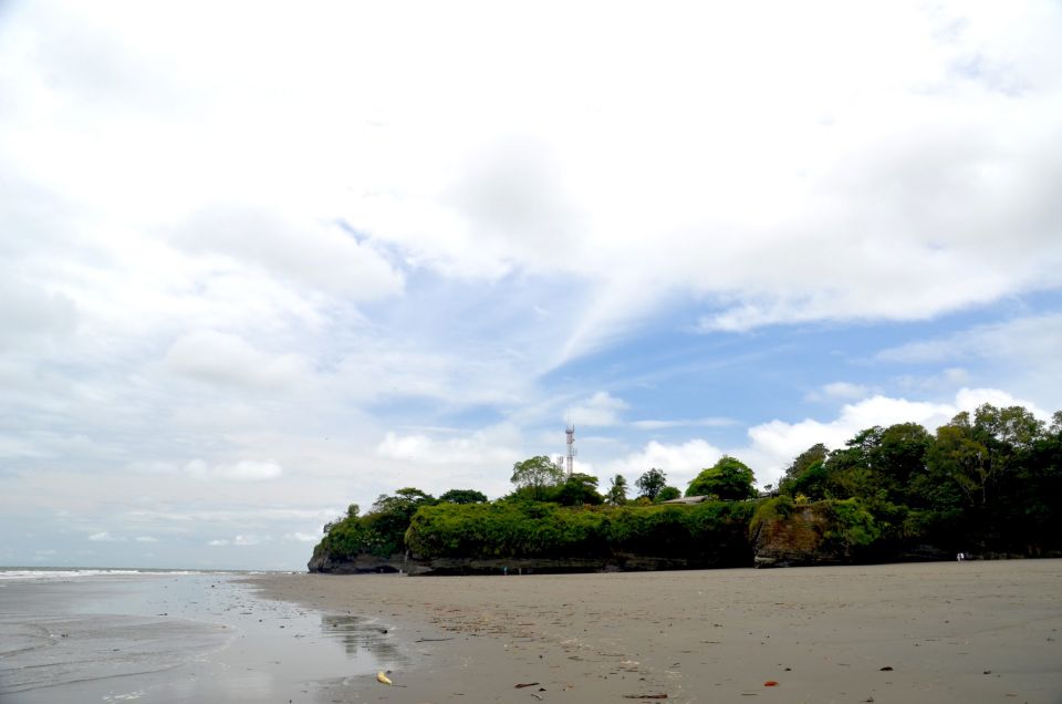 From Cali: Whale Watching Day Trip in Buenaventura - Frequently Asked Questions