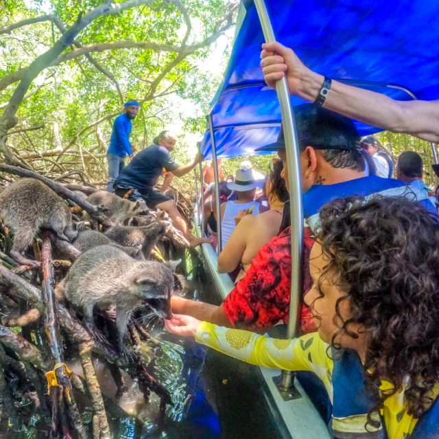 From Cartagena: Baru and Playa Blanca Full-Day Mangrove Tour - Frequently Asked Questions