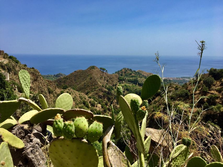 From Catania: The Godfather Movie Day Trip in Sicily - Recap