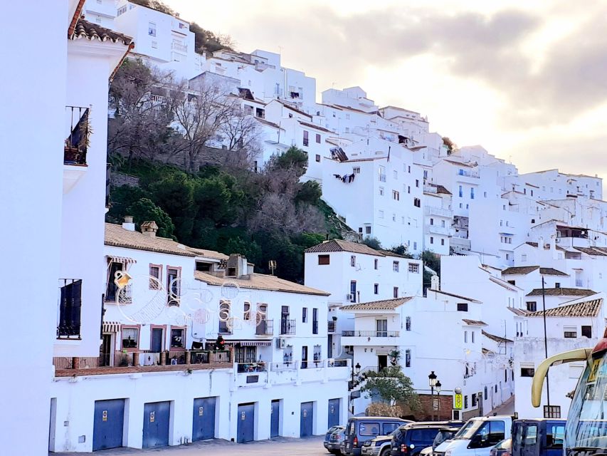 From Costa Del Sol: Casares Private Tour