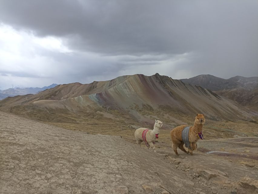 From Cusco: Palccoyo Rainbow Mountain Guided Tour - Recap