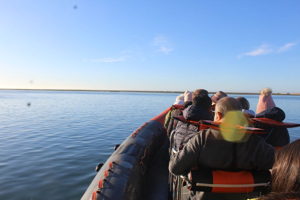 From Faro: Dolphin Watching & 2 Islands Tour - Frequently Asked Questions