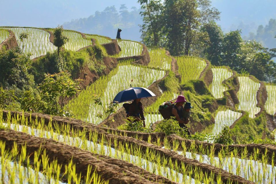 From Hanoi: 4-Day Panorama Of Ha Giang Loop Private Tour - Frequently Asked Questions