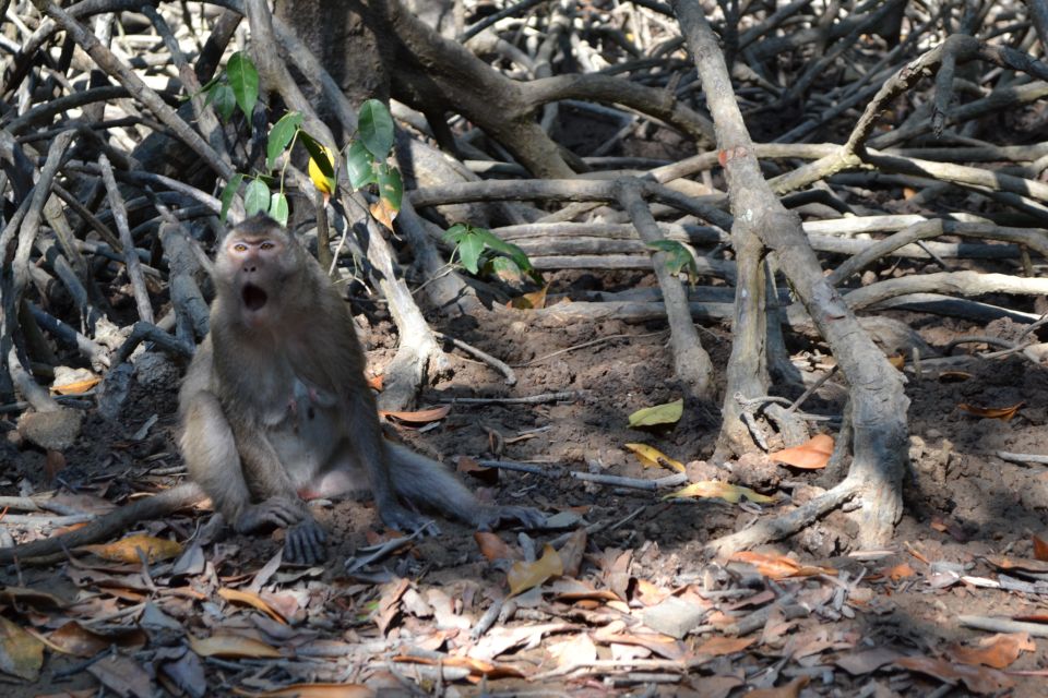 From Ho Chi Minh City: Can Gio Mangrove Guided Forest Tour - Frequently Asked Questions